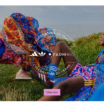 Refresh Your Social Experience with Cann Social Tonics: Enjoy Delicious Beverages with a Twist!