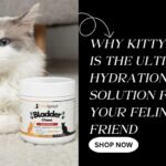 Why KittySpout Cat Water Fountains Are Changing How Cats Stay Hydrated